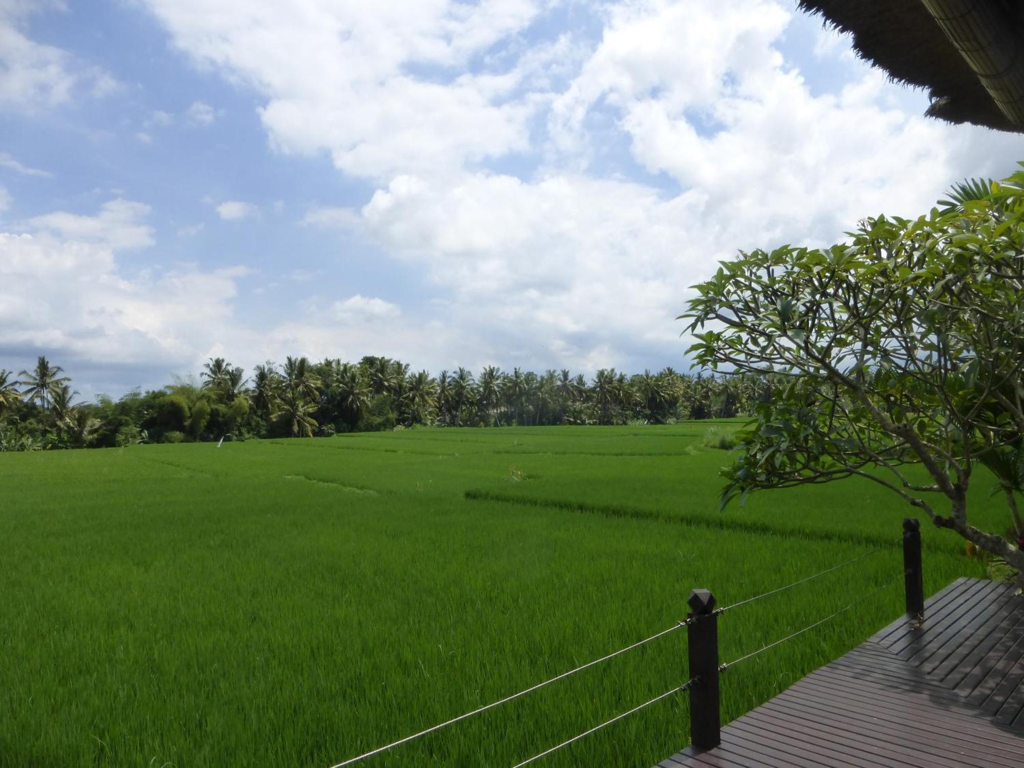 Bali Harmony Villa 우붓 객실 사진