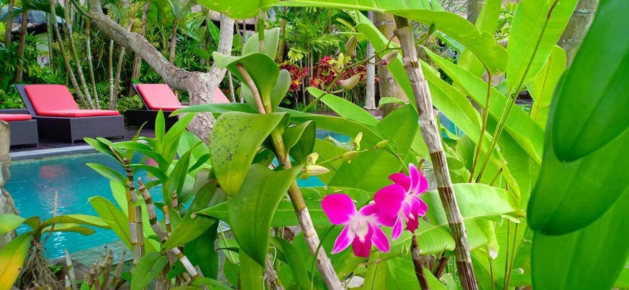 Bali Harmony Villa 우붓 외부 사진